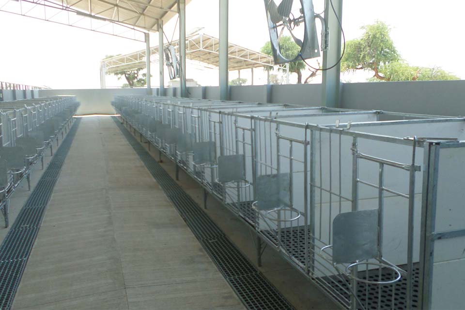 calf_pens-dairy_consulting-agriculture_tanzania_uganda_kenya.jpg