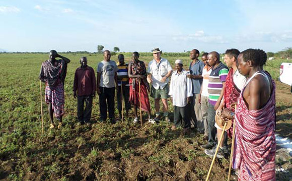 community_farming_projects-massai-agricultural_development.jpg