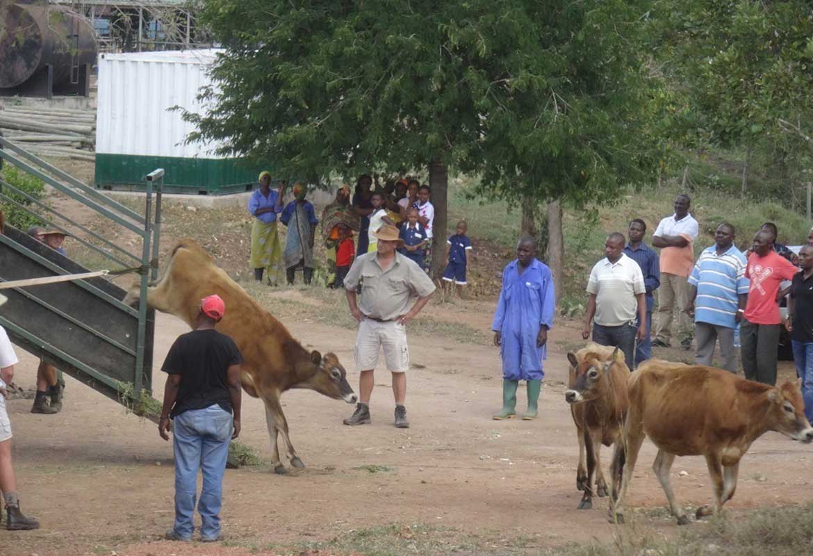 Livestock Delivery